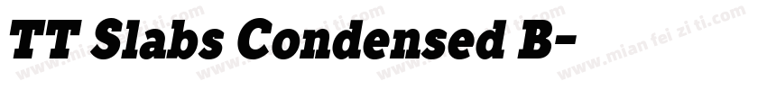 TT Slabs Condensed B字体转换
